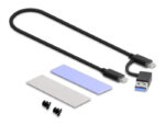 DELOCK θήκη για M.2 NVMe PCIe/SATA SSD 42019