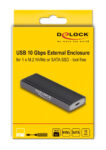 DELOCK θήκη για M.2 NVMe PCIe/SATA SSD 42019