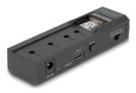 DELOCK docking station για M.2 NVMe/SATA ή 2.5"/3.5" SSD/HDD 64253