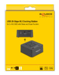 DELOCK docking station για M.2 NVMe SSD 64300