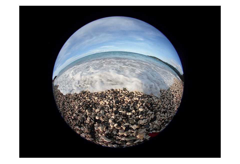 LENSES_FCON-T02__sample