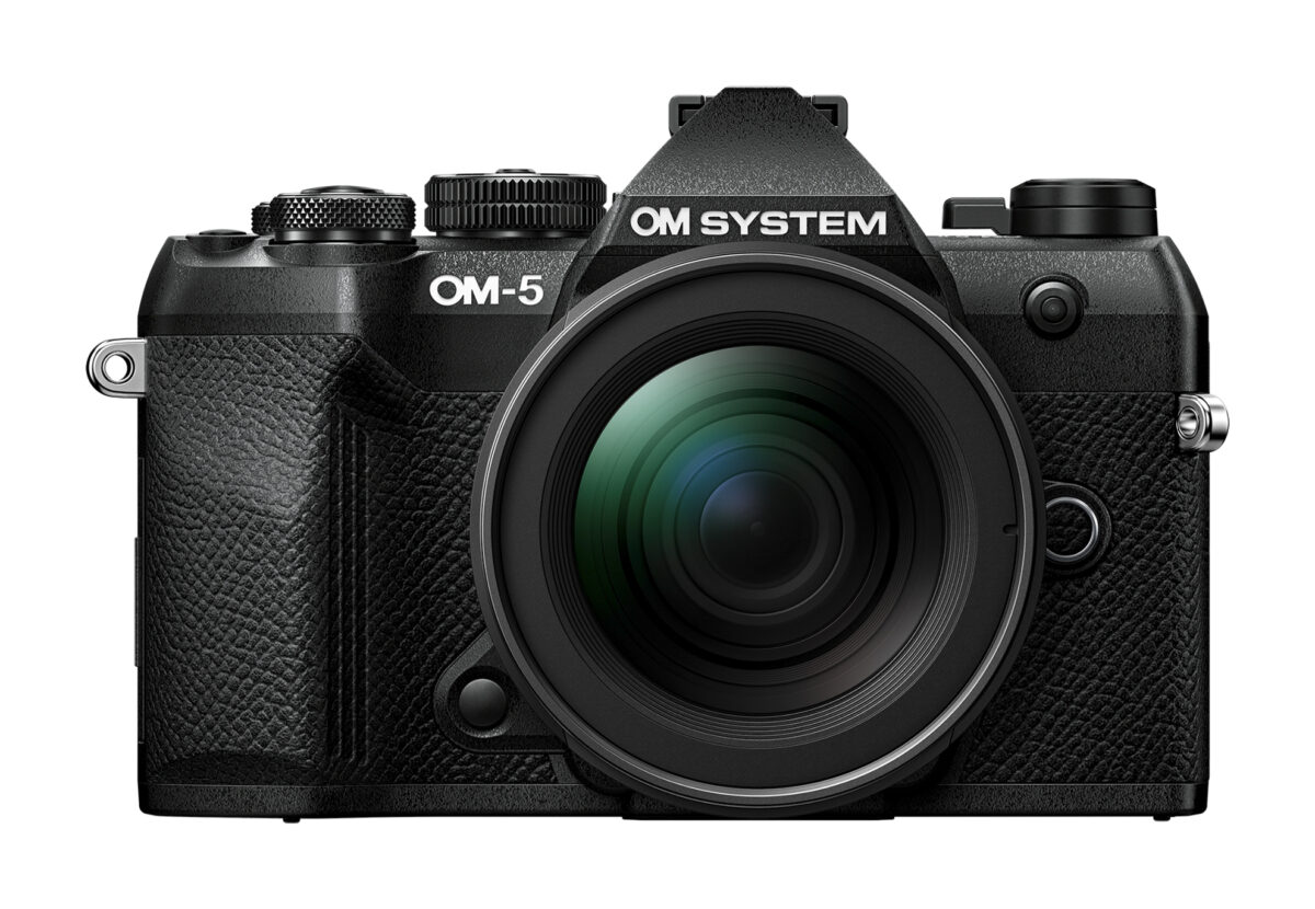 ID: 51560