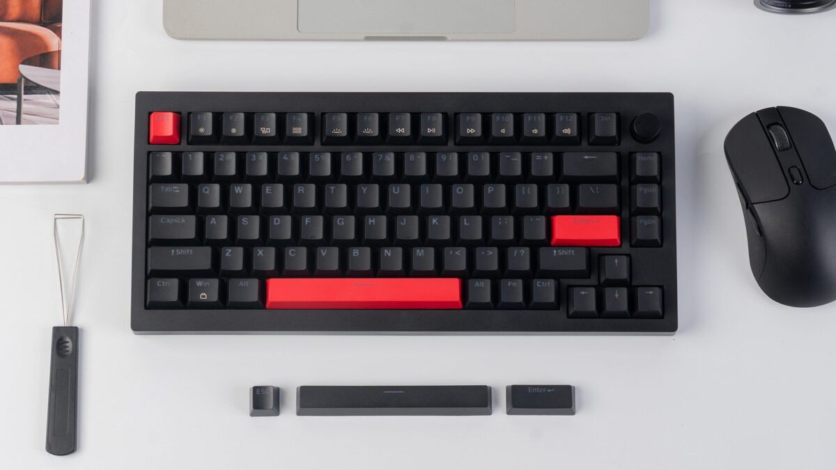 Lemoeky-X4-13